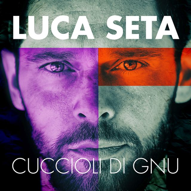 luca seta