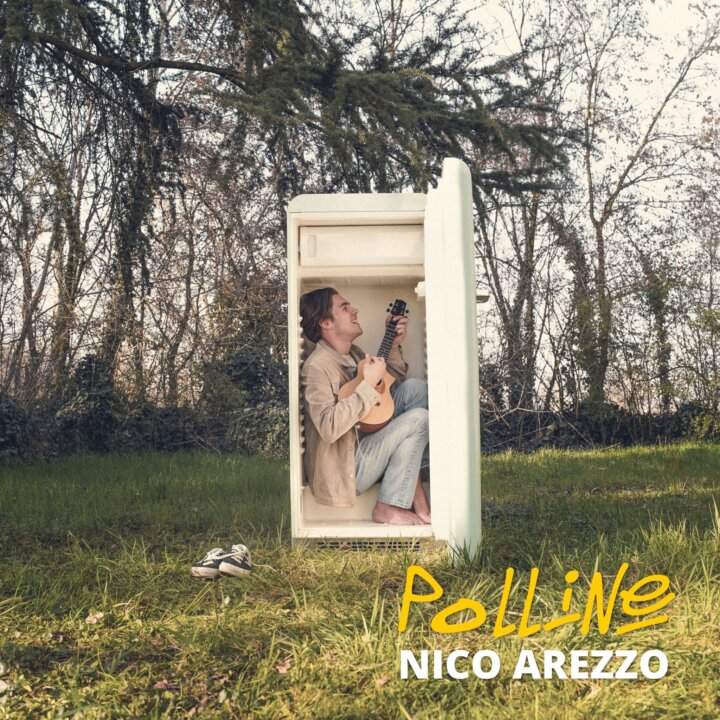 Nico Arezzo Polline