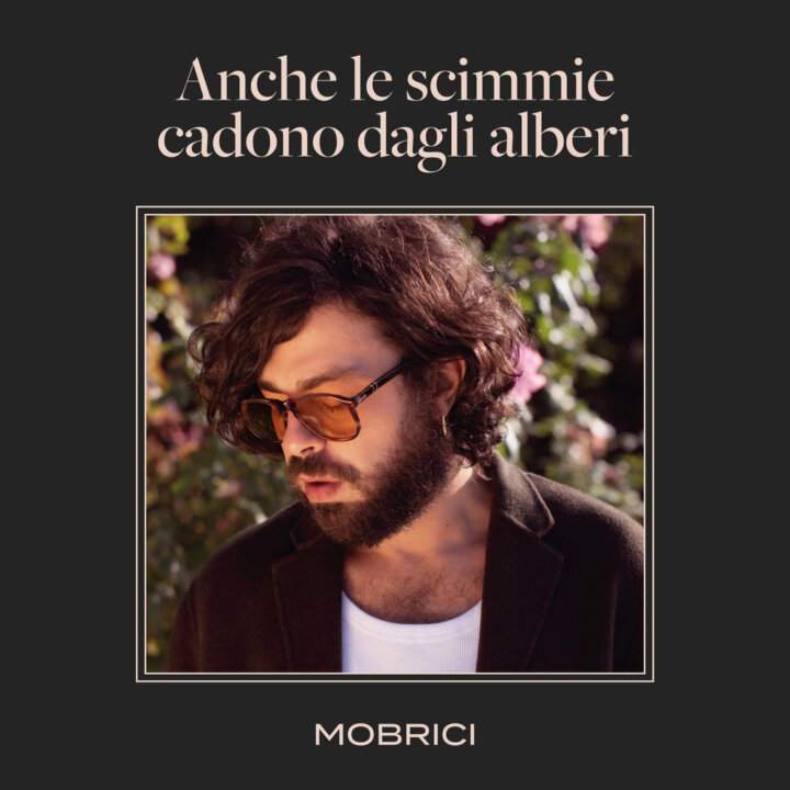 Mobrici anche le scimmie cadono dagli alberi