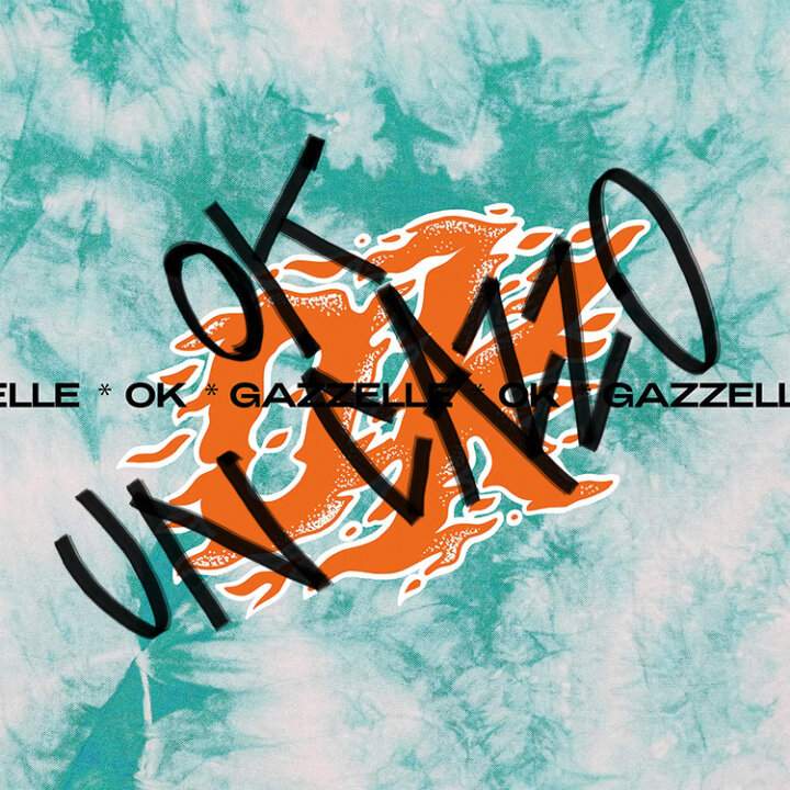 Gazzelle Ok un cazzo