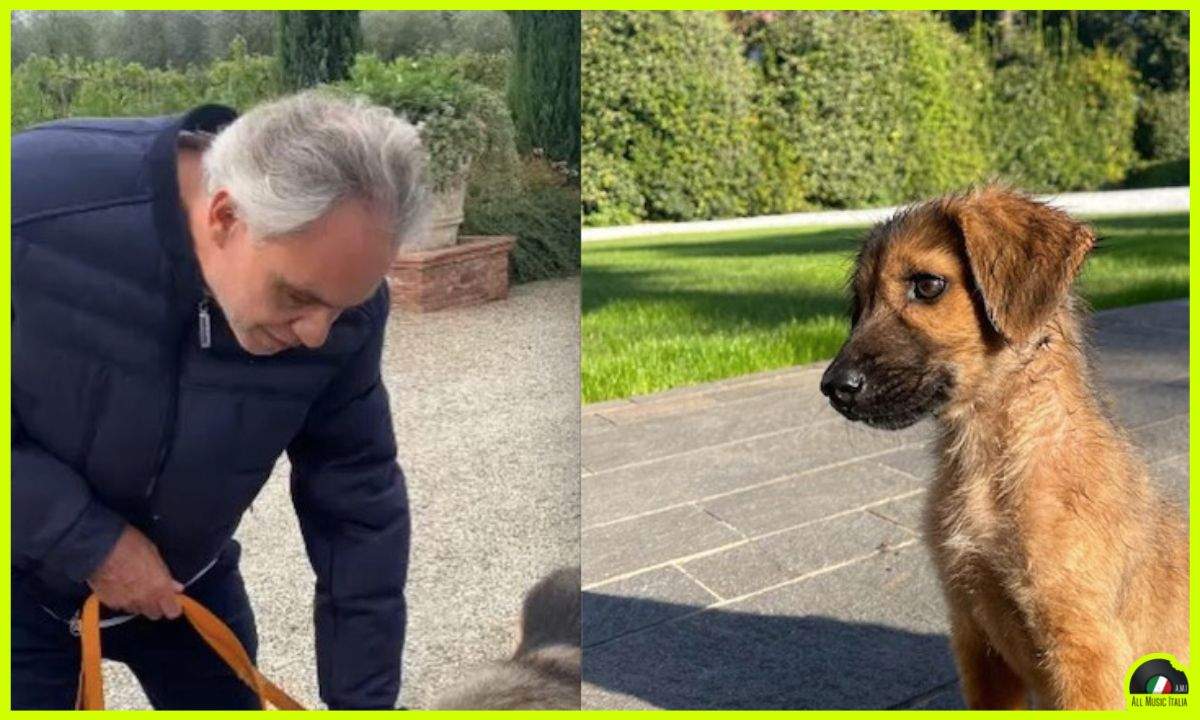 andrea-bocelli-cane-jolie