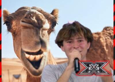 X Factor 70 cammelli Enrico Polloni