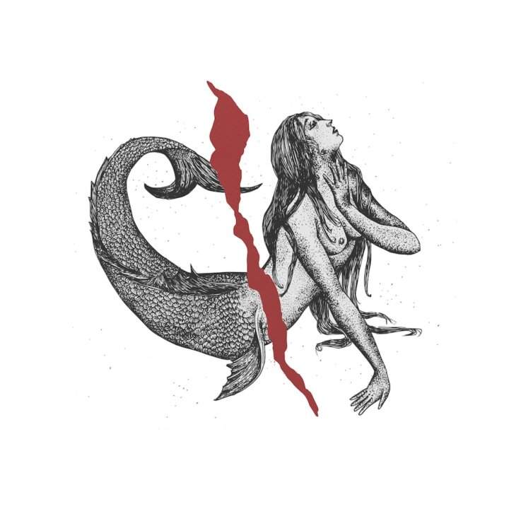 Napoleone Va' e torna copertina