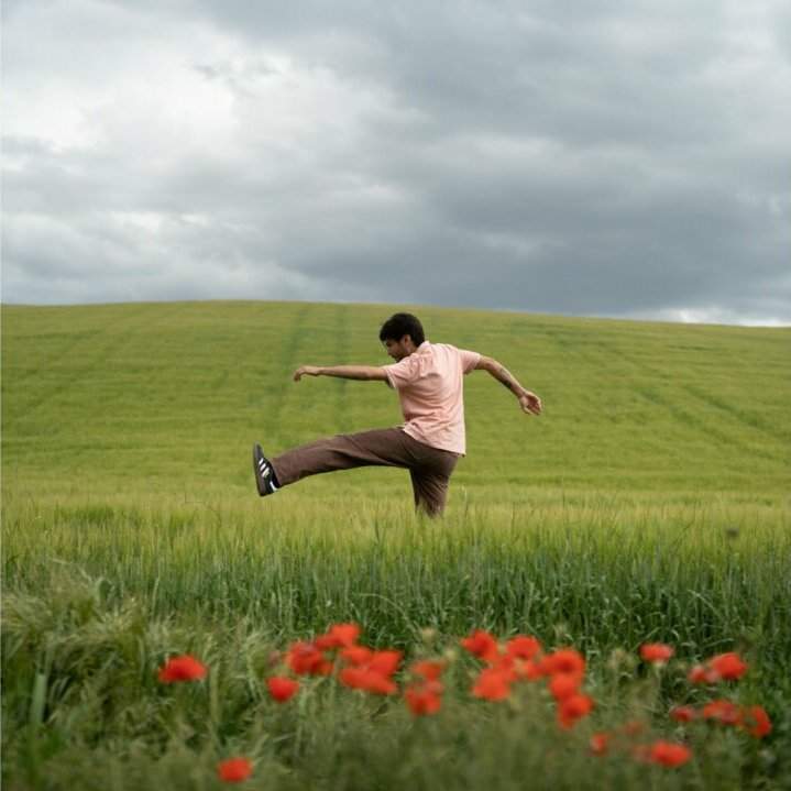 m.e.r.l.o.t trasparente cover