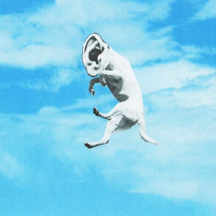 Dissidio Cover Magari Ci Sarà Un Futuro Migliore