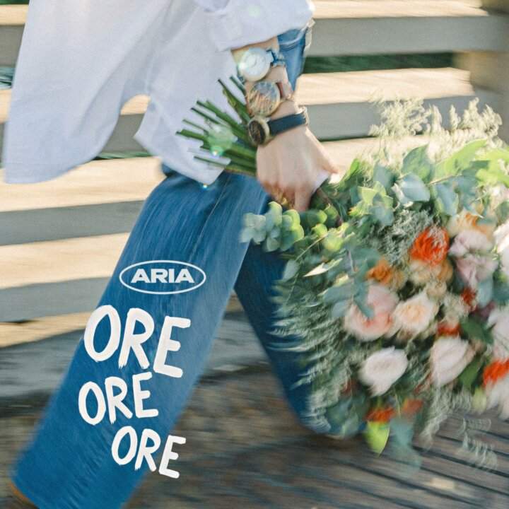 Aria cover Ore Ore Ore