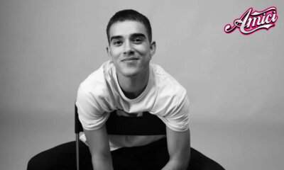 FRASA significato del testo di Viola