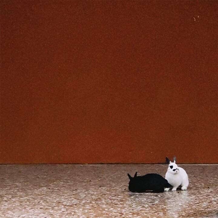 nico arezzo da dio copertina