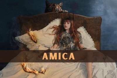 Annalisa Amica Testo significato.jpg