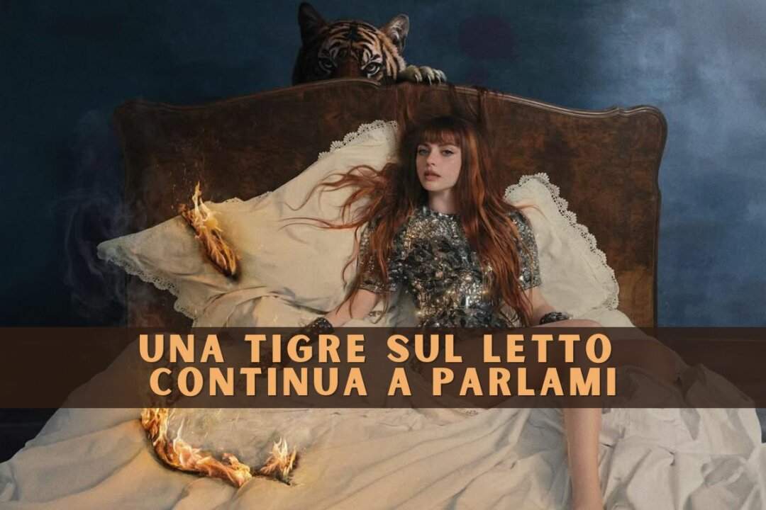 Una tigre sul letto continua a parlami testo significato