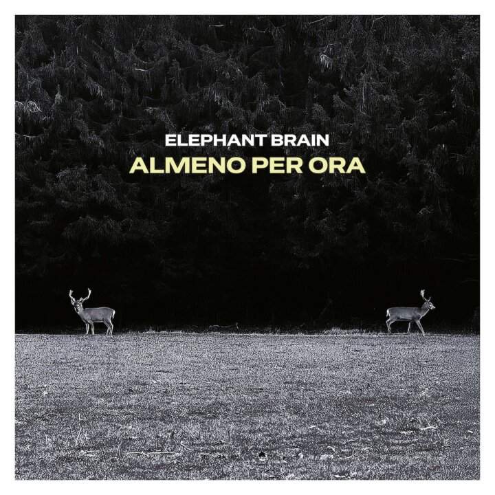 Gli Elephant Brain tornano con il disco "Almeno per ora"