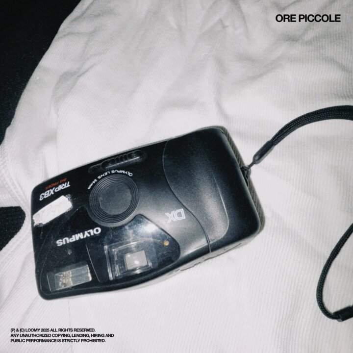 Loomy cover Ore Piccole