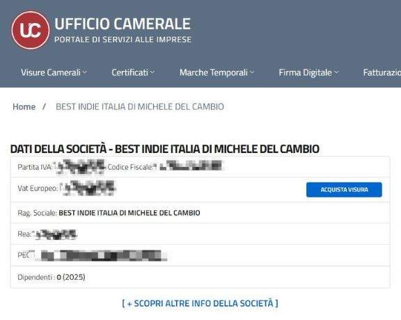 Visura camerale di Best Indie Italia, etichetta indipendente fondata da Michele Del Cambio