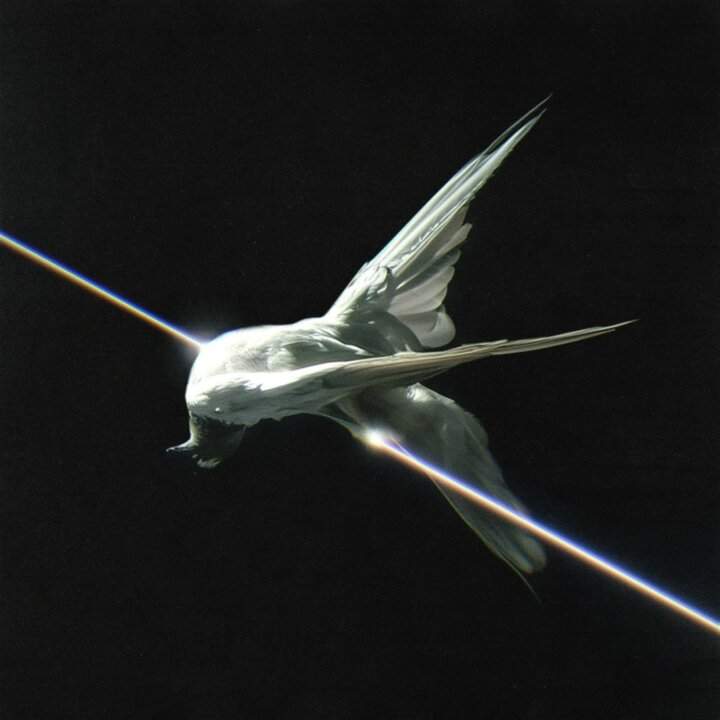 Tredici Pietro Cover La Fretta