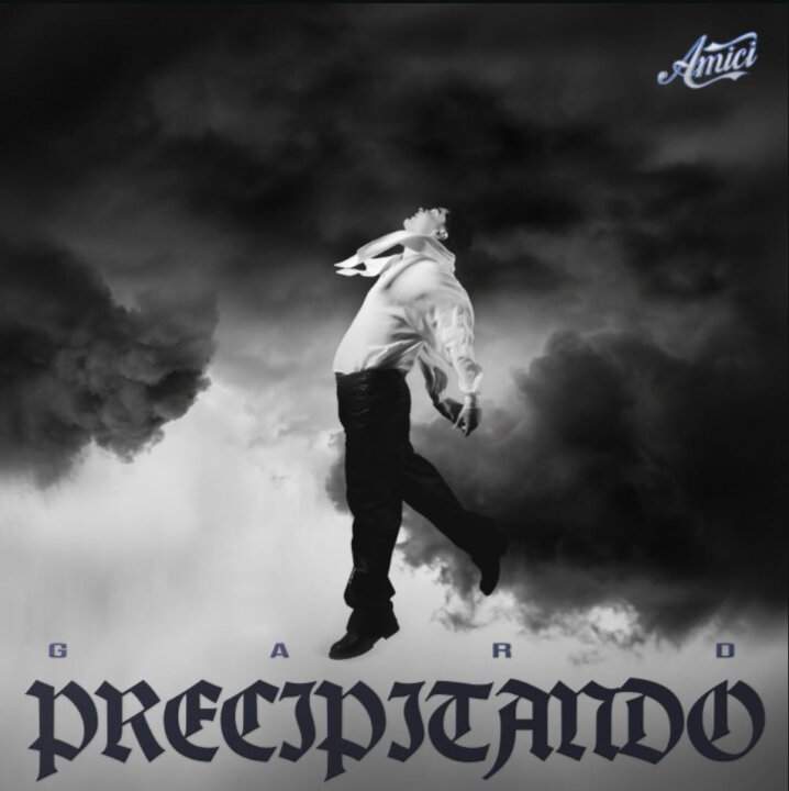 Gard Precipitando copertina Amici 25