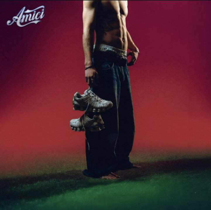 Plasma cover Perdigiorno