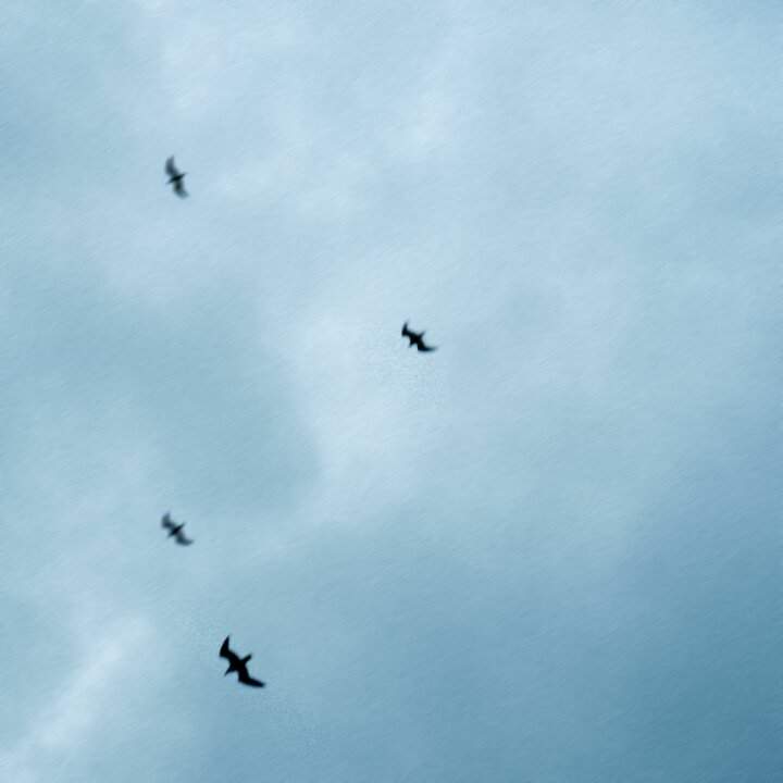 Willie Peyote cover Burrasca