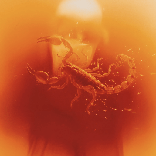 Cover di Scorpione, nuovo album di Aiello