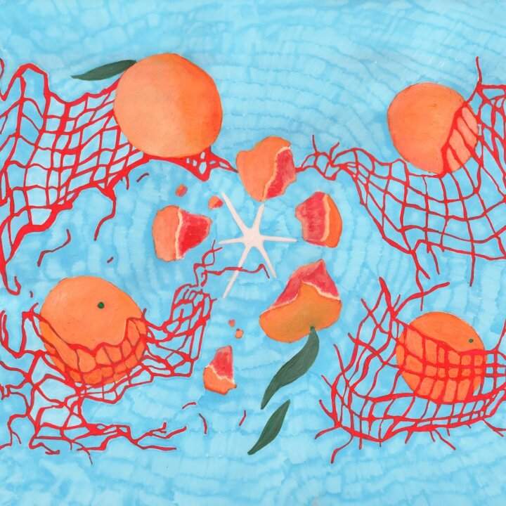 Copertina del singolo Aranciata di Frah Quintale, illustrazione con arance intere e a spicchi su sfondo azzurro con rete rossa e stella marina, realizzata in tecnica mista dall'artista
