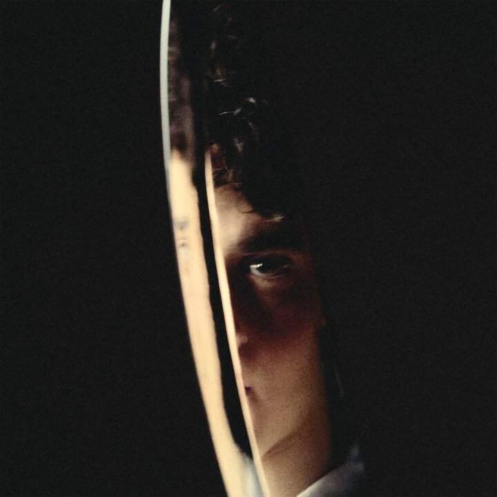 Cover of Lividi, Gard's EP after Amici 25
