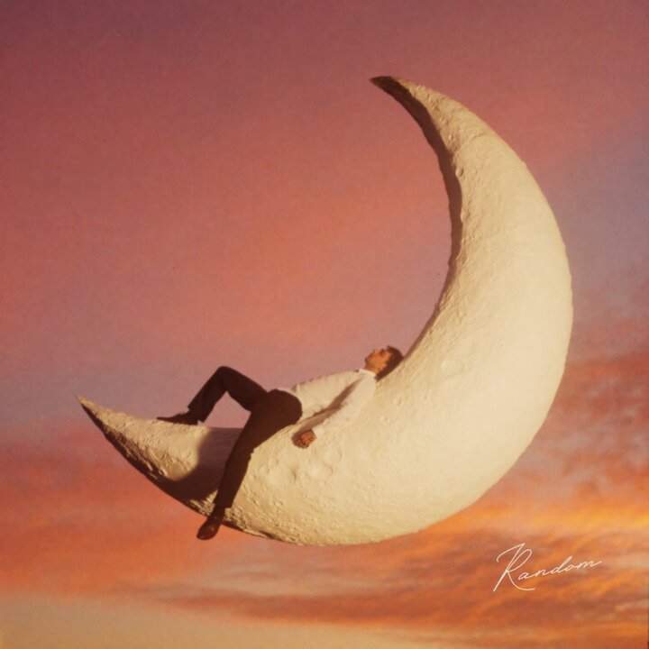Official cover of the single Fino alla Luna by Random