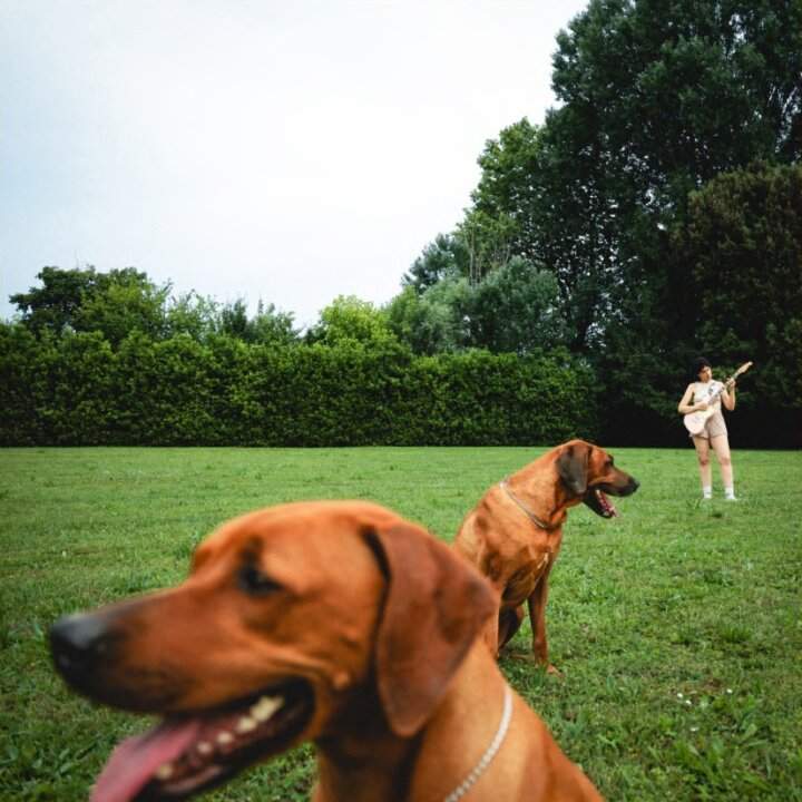 Anna and Vulkan, copertina dell'album Nuovo amore passato