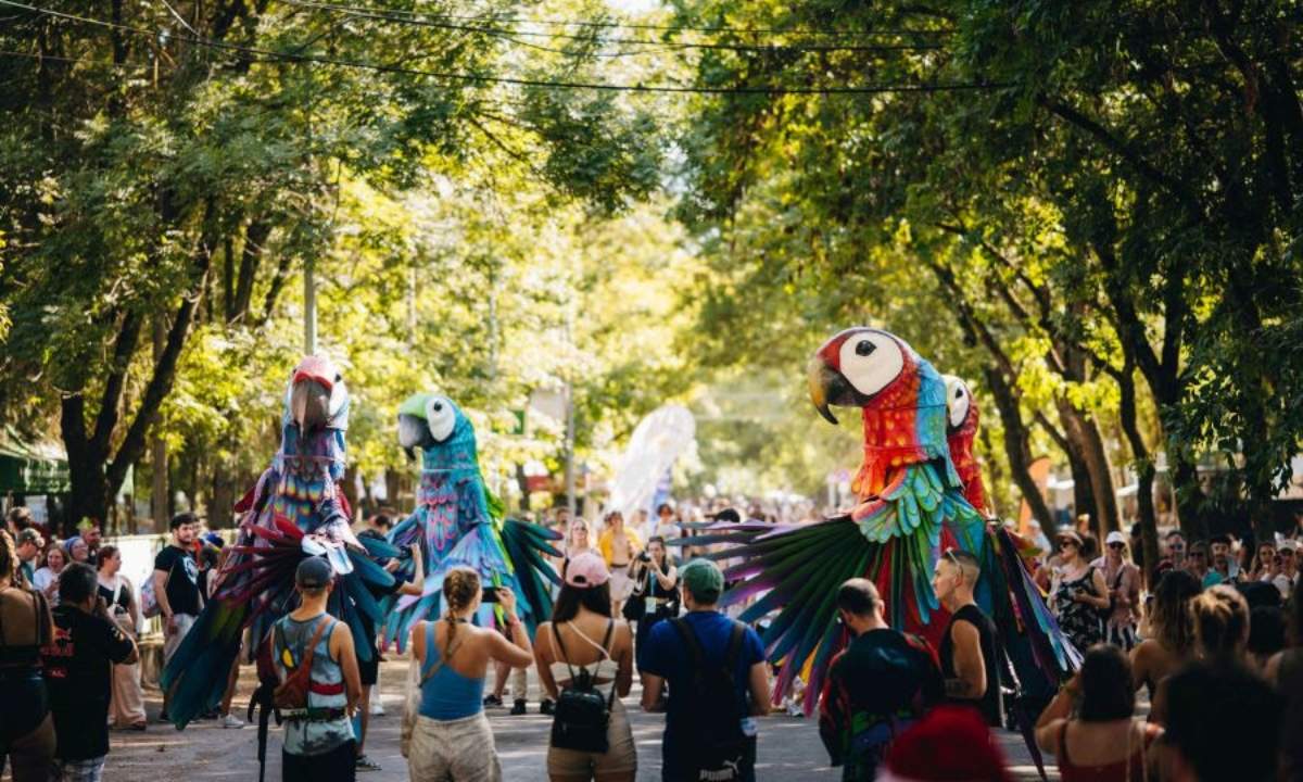 Performer in costume da pappagalli colorati tra il pubblico allo Sziget Festival sull'Isola della Libertà di Budapest