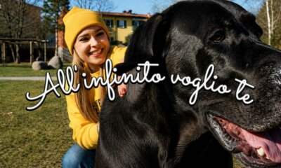 La copertina del singolo All'infinito voglio te con Jessica Brugali e il cane Sean