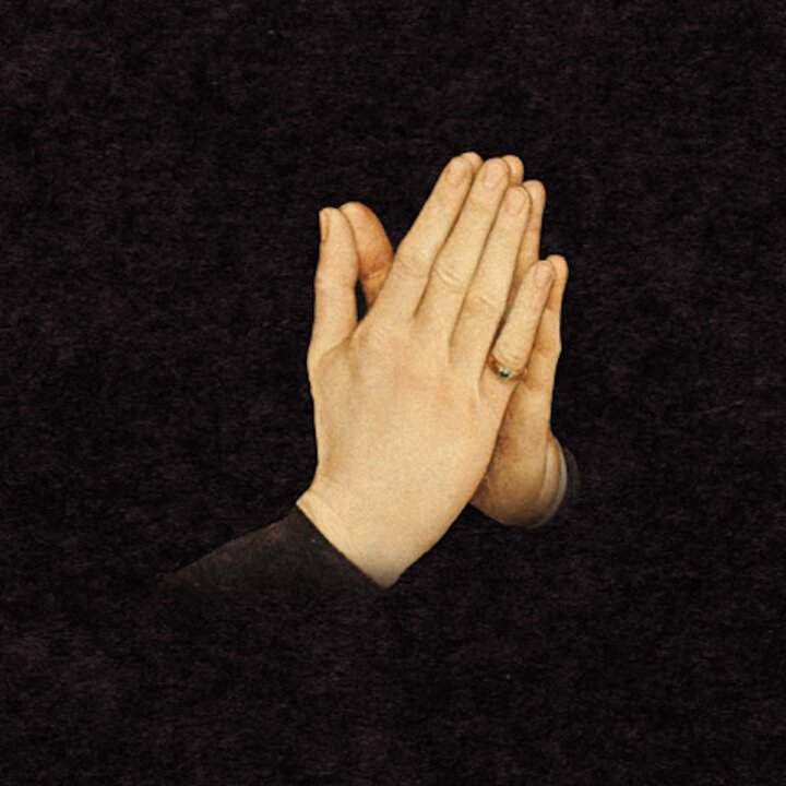 Nove releases the single "The left is dead" feat. I will graze in the pastures