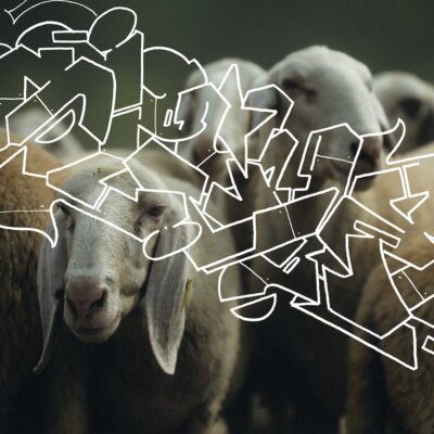 Copertina dell’album Zarathustra Style di Fabri Fibra e Neffa: un gregge di pecore con un graffito bianco sovrapposto
